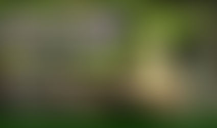 Sábado 9 de septiembre 2017 / Media Jornada de Zazen