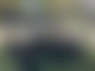 Practica cotidiana e introducción a la meditación zen