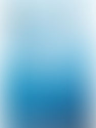 Jornada de Meditación Zen Agosto