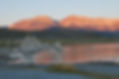 mono lake nature shot   2.jpg