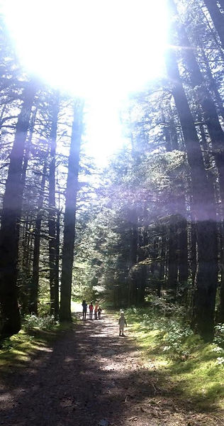 Hiking Kodiak, Alaska