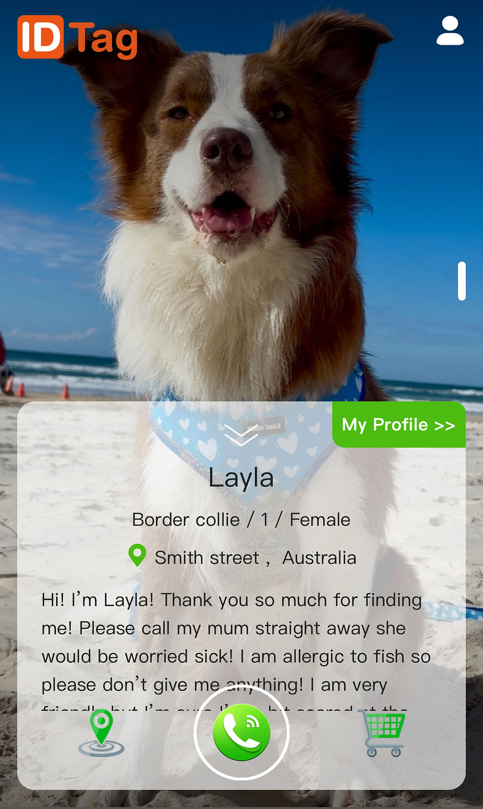 Thumbnail: Pink ID tag