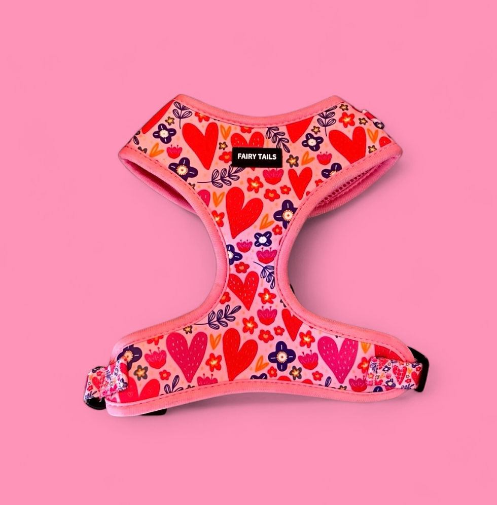 Pink Love Heart Harness