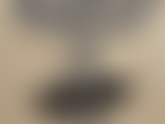 A Nazi in the Family