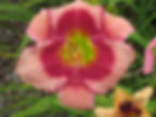 18-03B