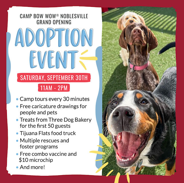 Camp Bow Wow Adoption Event