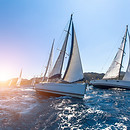 velier in timpul regatei , velier, regata