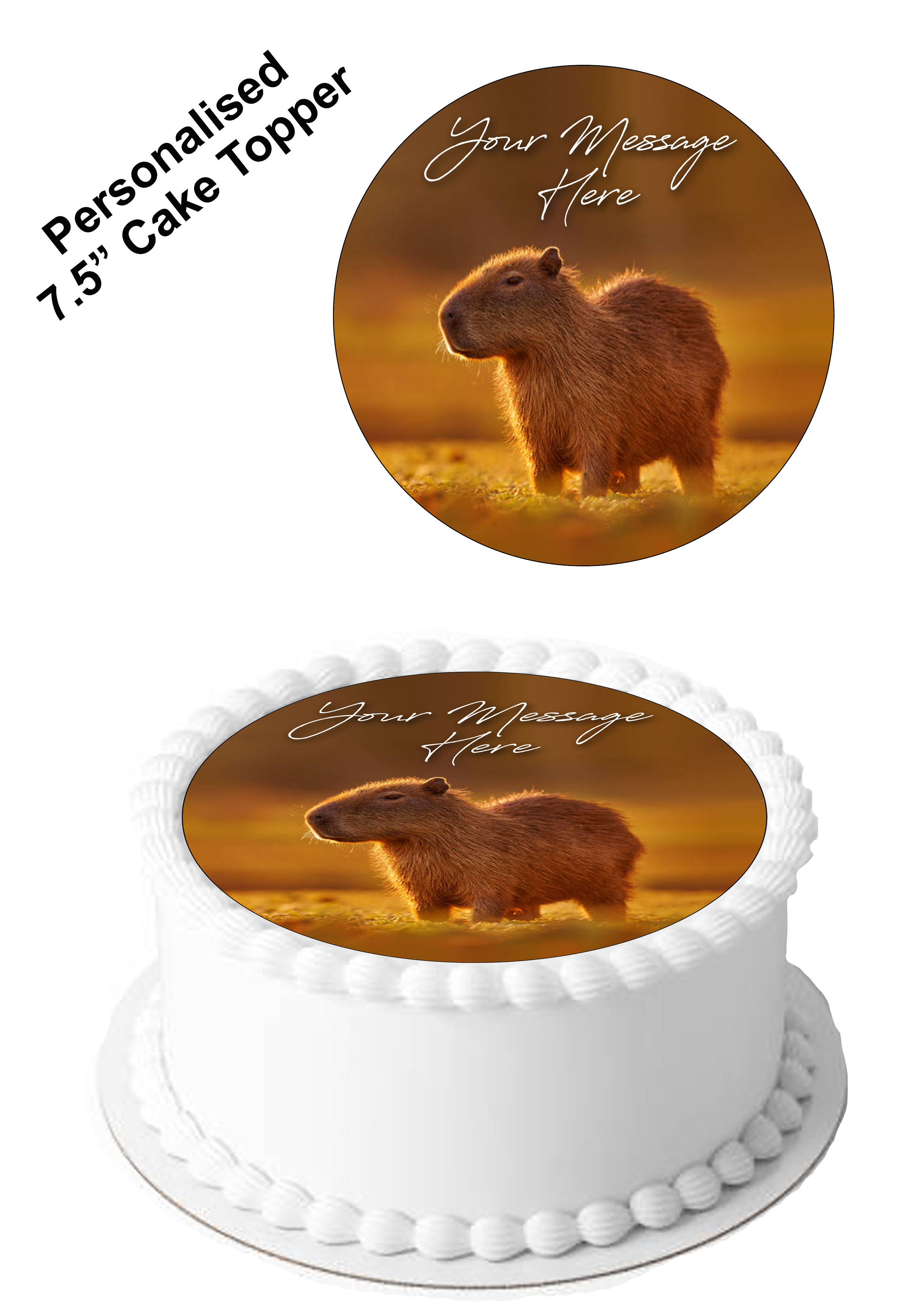 Personalised Message Capybara Animal 7.5 Inch Circle Icing Topper