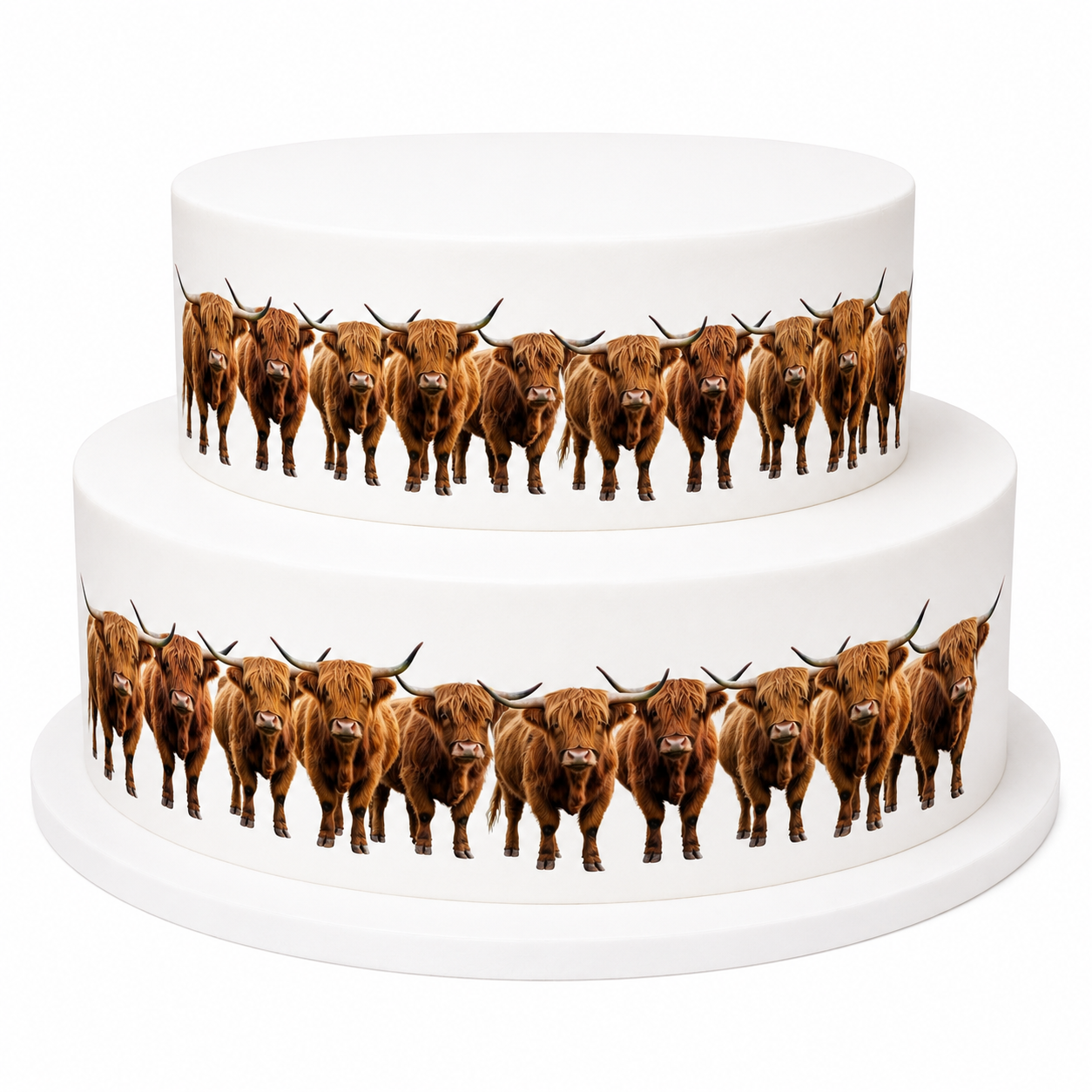 Highland Cow Cattle Themed Edible Icing Sheet Cake Border