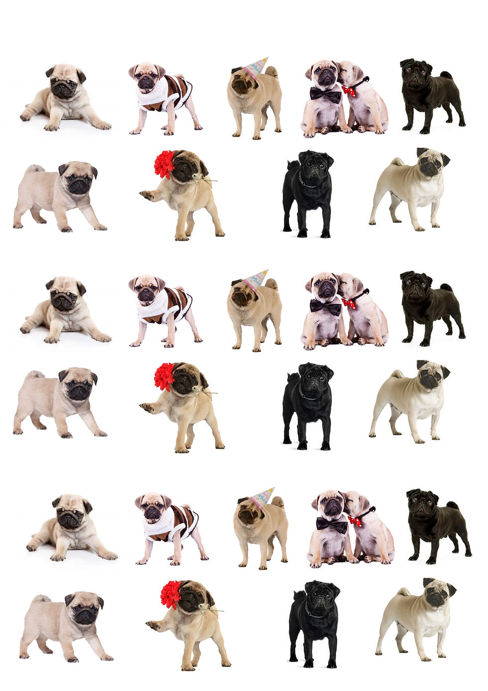 27 Stand Up Edible Wafer Paper Pug Dog Toppers