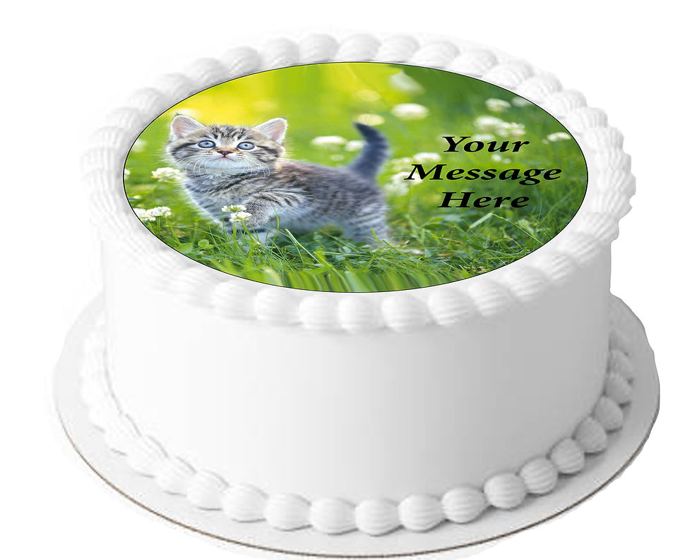 Thumbnail: Cute Kitten Themed PERSONALISED MESSAGE 7.5 Inch Circle Icing Cake Topper
