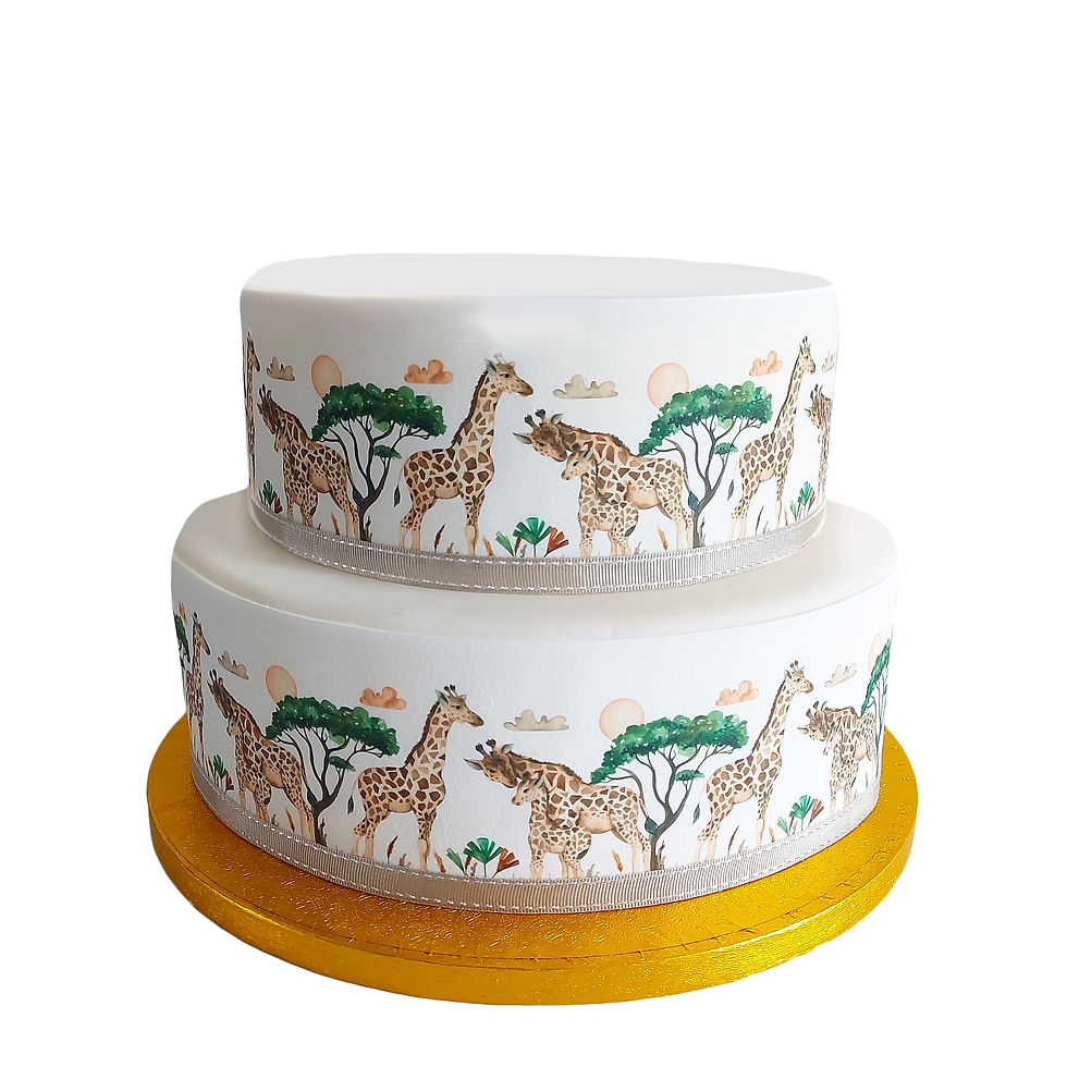 Giraffe Safari Borders Decor Icing Sheet Cake Decoration