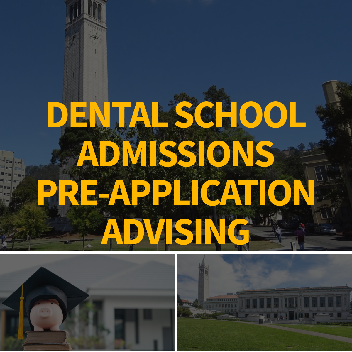 Dental Admissions Advising - Pre-Application