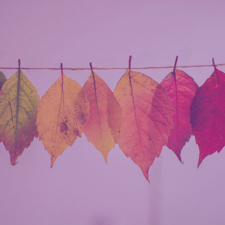 Les saisons et l’énergie de l’âme : que nous enseigne l’automne, l’hiver, le printemps et l’été ?