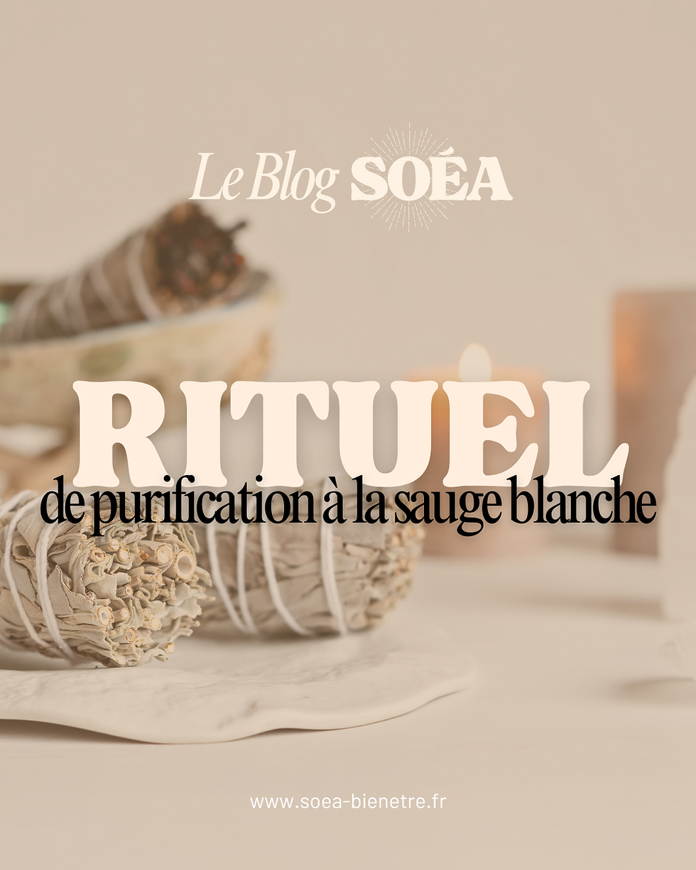 purification sauge blanche
