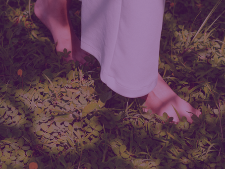 Le chemin de Vie – Retrouver ta mission spirituelle