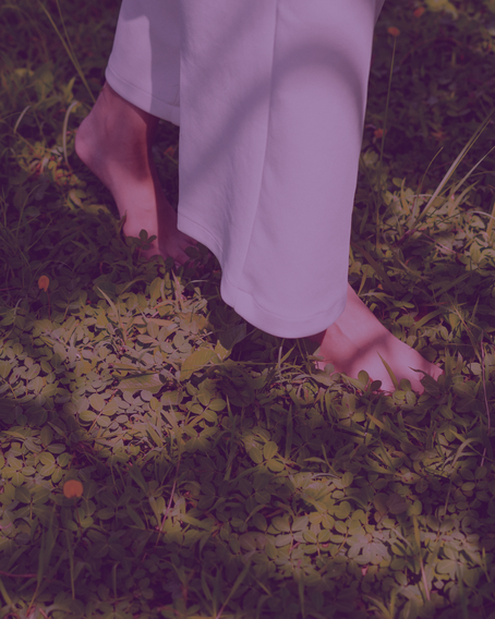 LE CHEMIN DE VIE – RETROUVER TA MISSION SPIRITUELLE