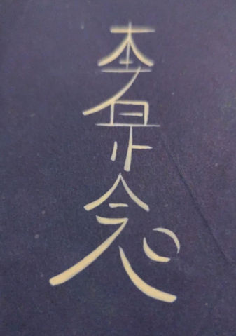 Comment se déroule un soin à distance avec moi ?