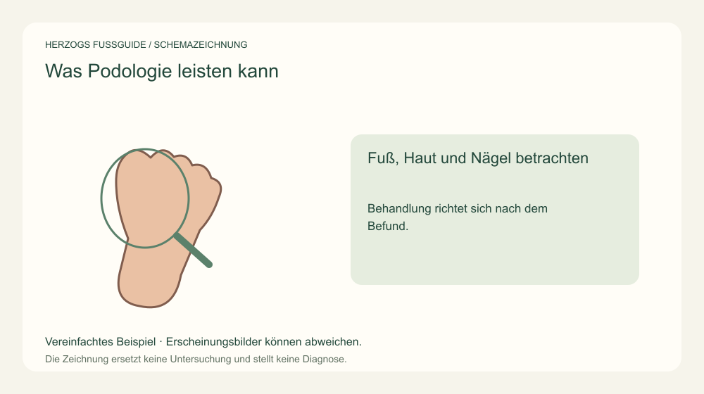 Fuß, Haut und Nägel betrachten. Behandlung richtet sich nach dem Befund. Medizinische Schemazeichnung; kein Patientenfoto.
