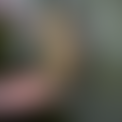 Ohio Fly Fishing Forecast 05/12/22