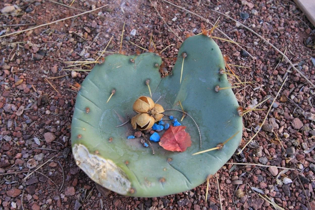 susan blue pebbles.jpg