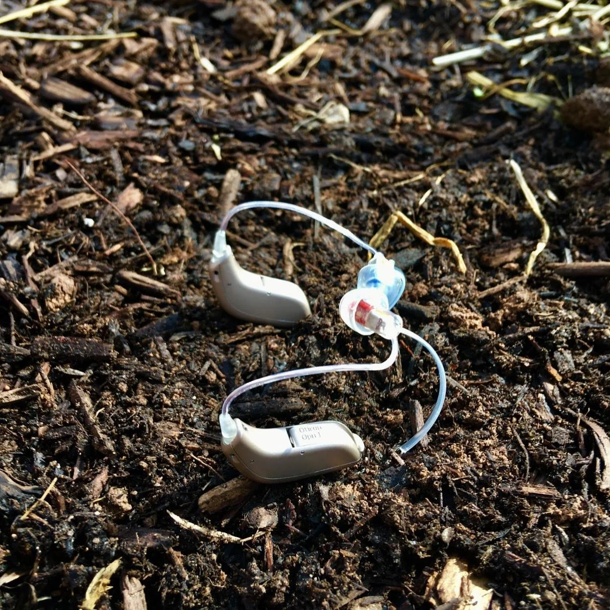 Meghan Kelsey buds.jpg