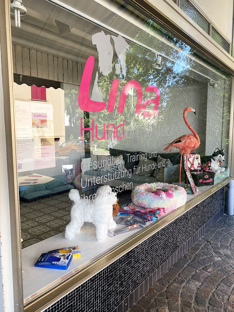 Schaufenster -Design und Farbe individuell angepasst- beschriftet mit Qualitäts-Folie Pink und hellgrau