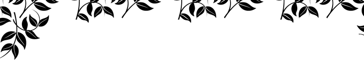 ADH Border_edited.png