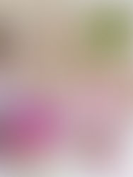 Summer Dreams and End-of-Year Jitters: 