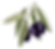 olijfjes copyright Annabelle Pauwels.png