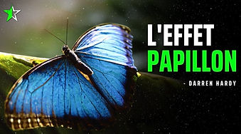 Voir_effet papillon.jpg
