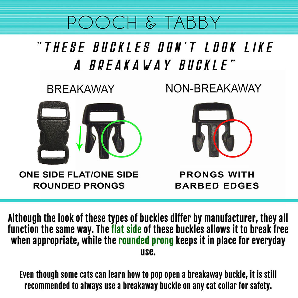 Thumbnail: pooch and tabby breakaway buckle infographic