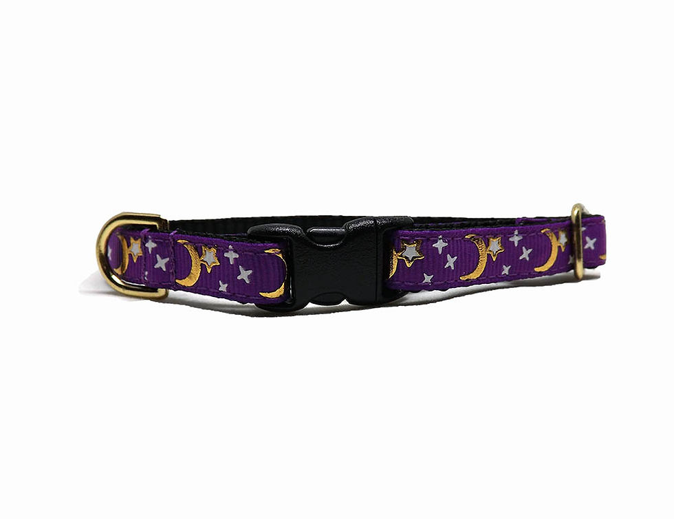 celestial cat collar front view