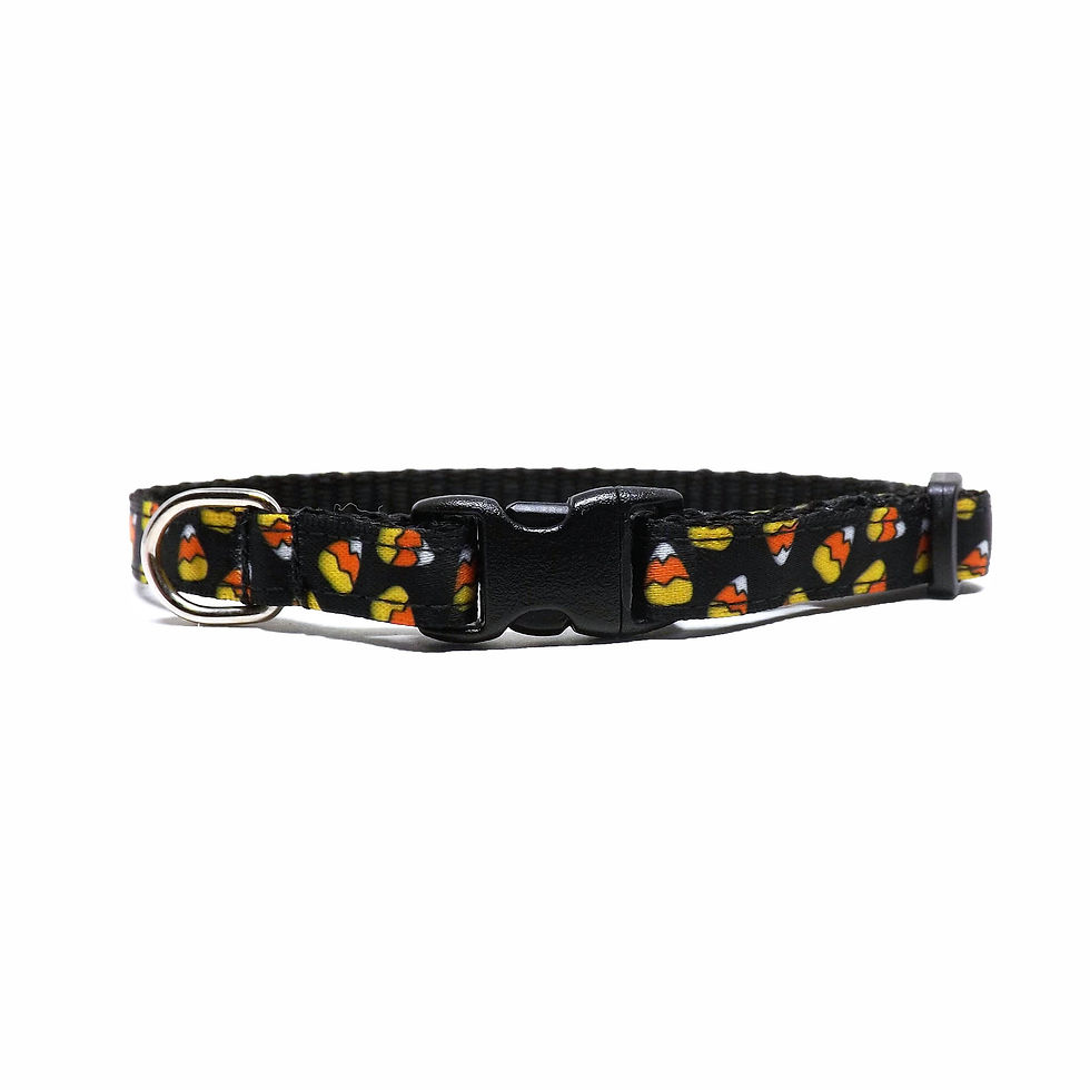 cat collar with a candy corn design, front view