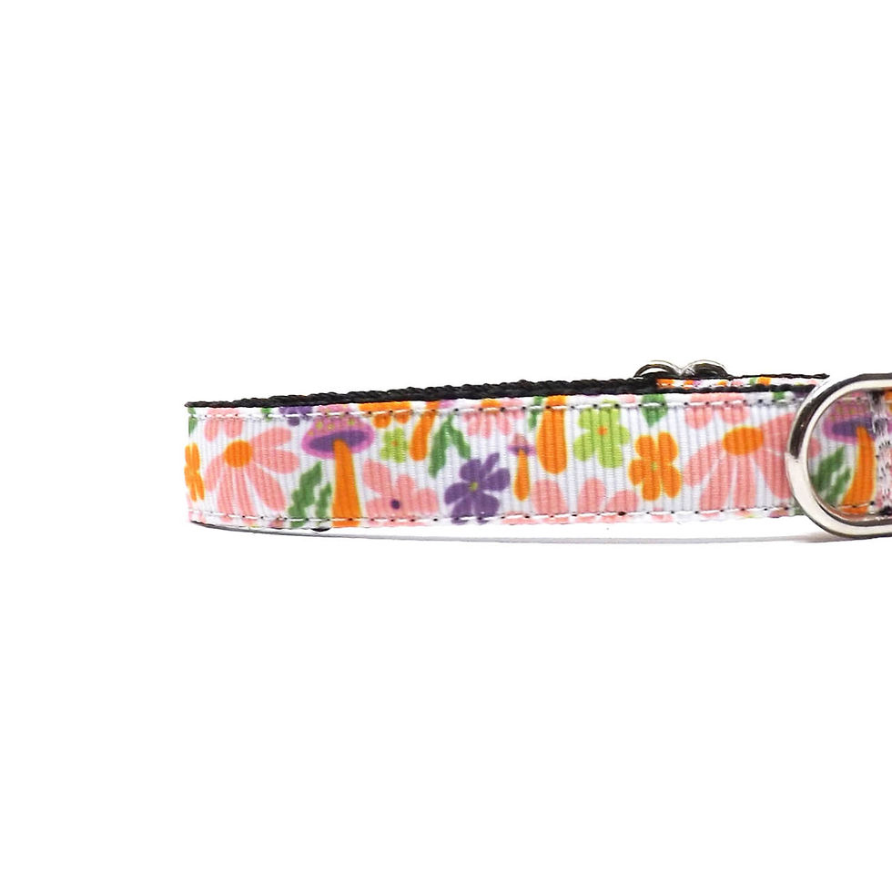 Thumbnail: close up of cat collar with colourful daisies and purple and orange mushrooms on a white background