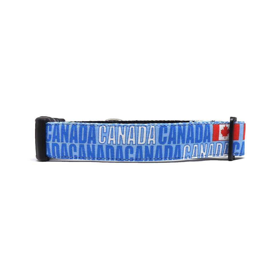 Thumbnail: Dog Collar - 'Canada Eh?' - Blue Canada and Flag Design