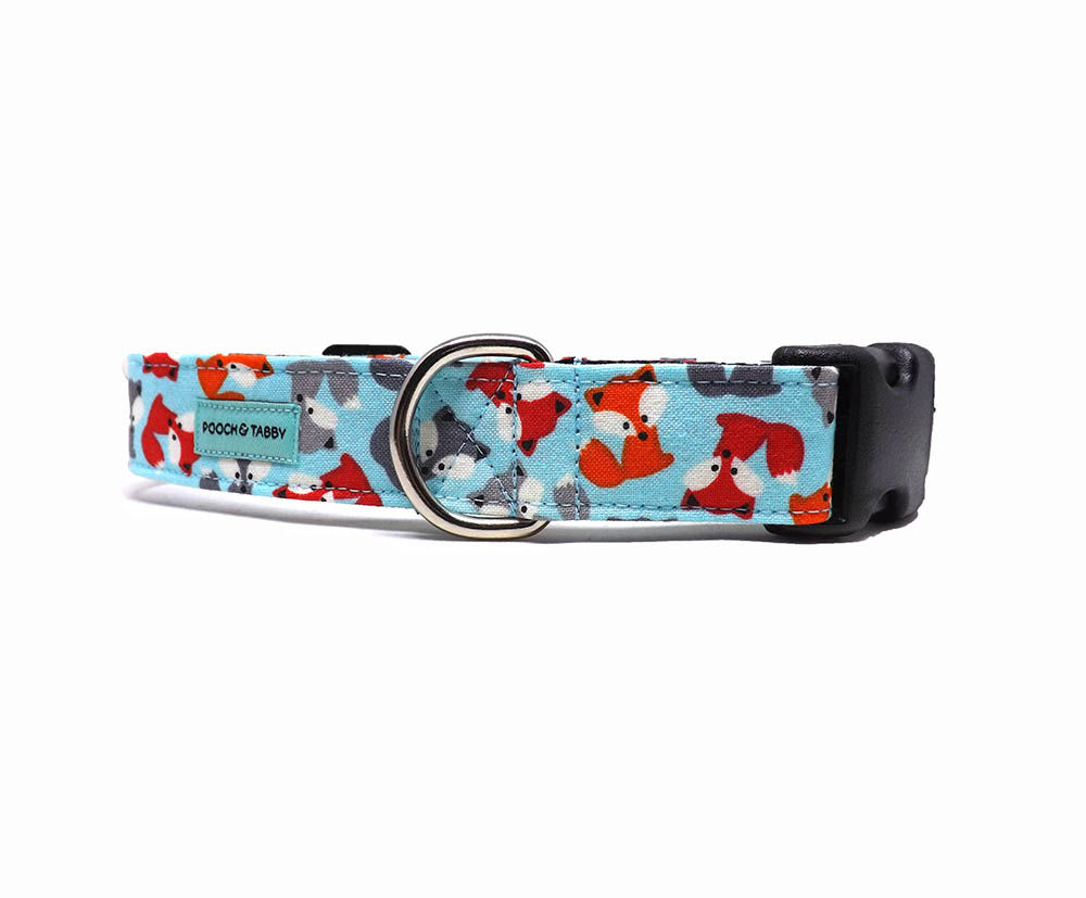 Dog Collar - 'Foxtrot' - Novelty Fox Toss Design