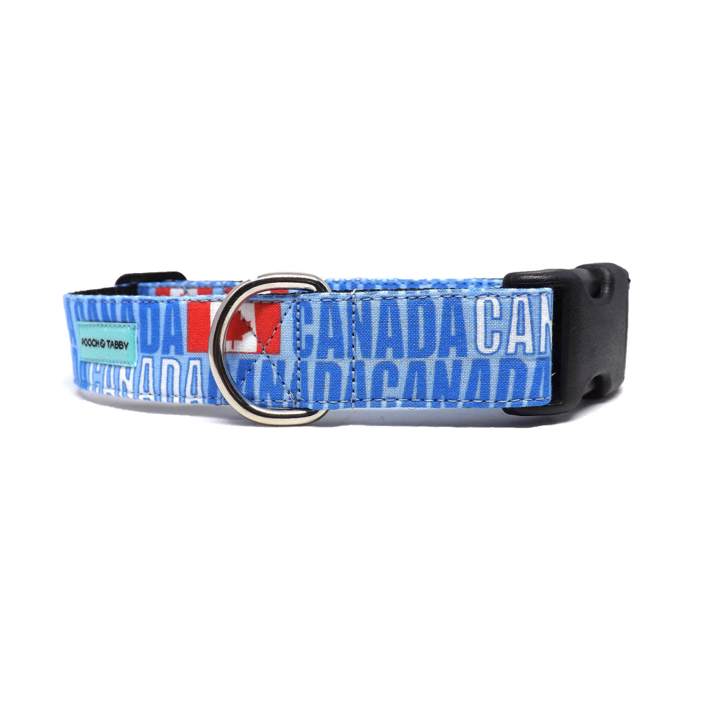 Dog Collar - 'Canada Eh?' - Blue Canada and Flag Design