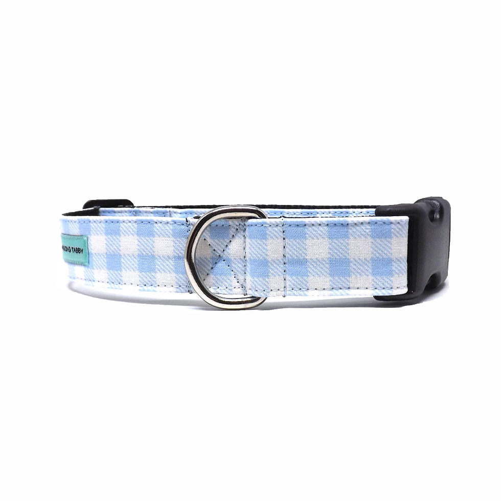 pastel blue and white gingham collar, front view