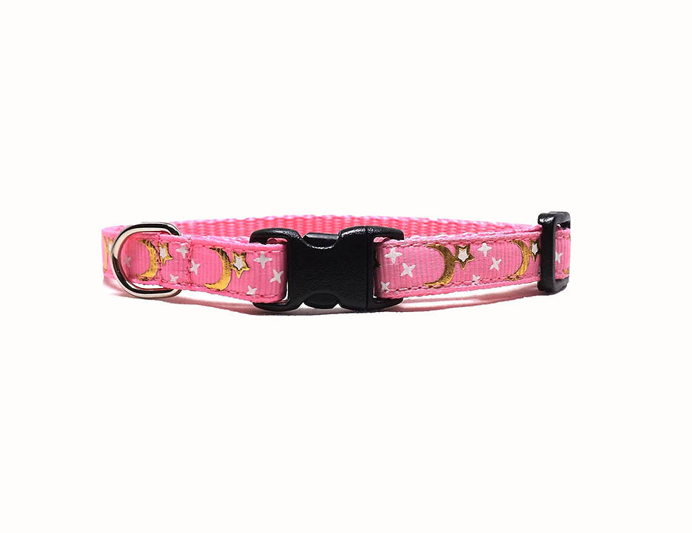 celestial cat collar front view