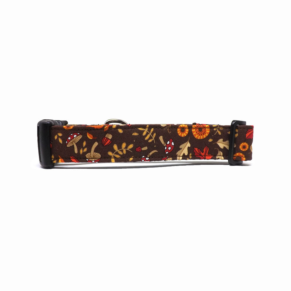 Thumbnail: fall dog collar with mushrooms, leaves and acorns on a brown background, back view