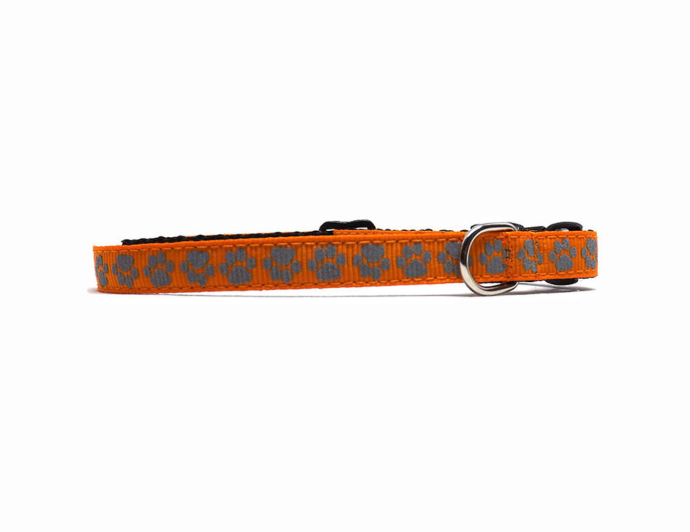 orange reflective cat collar side view
