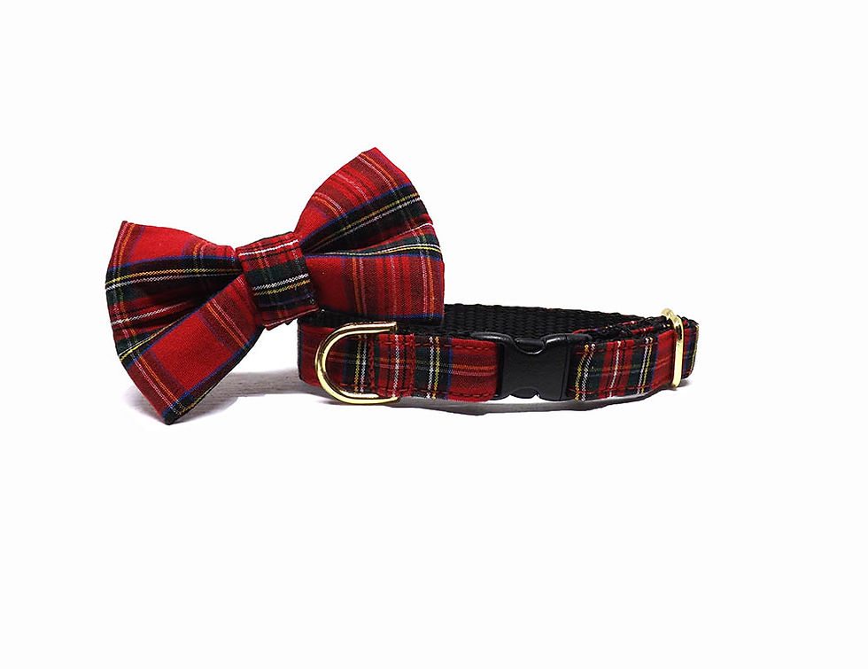 Thumbnail: image showing a bow tie and matching cat collar, tartan print