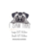 sticker of a pug peeking over a ledge with the words i saw that, sizing options below