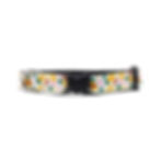 cat collar with pineapples, heart shaped sunglasses and pineapples wearing sunglasses, front view