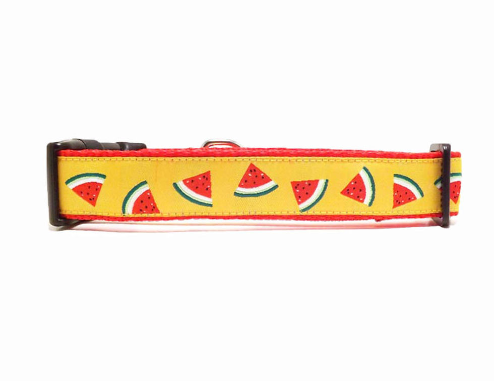 Thumbnail: Dog Collar - 'Watermelon Slices' - Watermelon Fruit Design