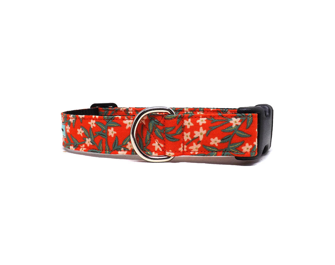 Dog Collar - 'Bramble Vines - Red' - Floral Rifle Paper Co® Design