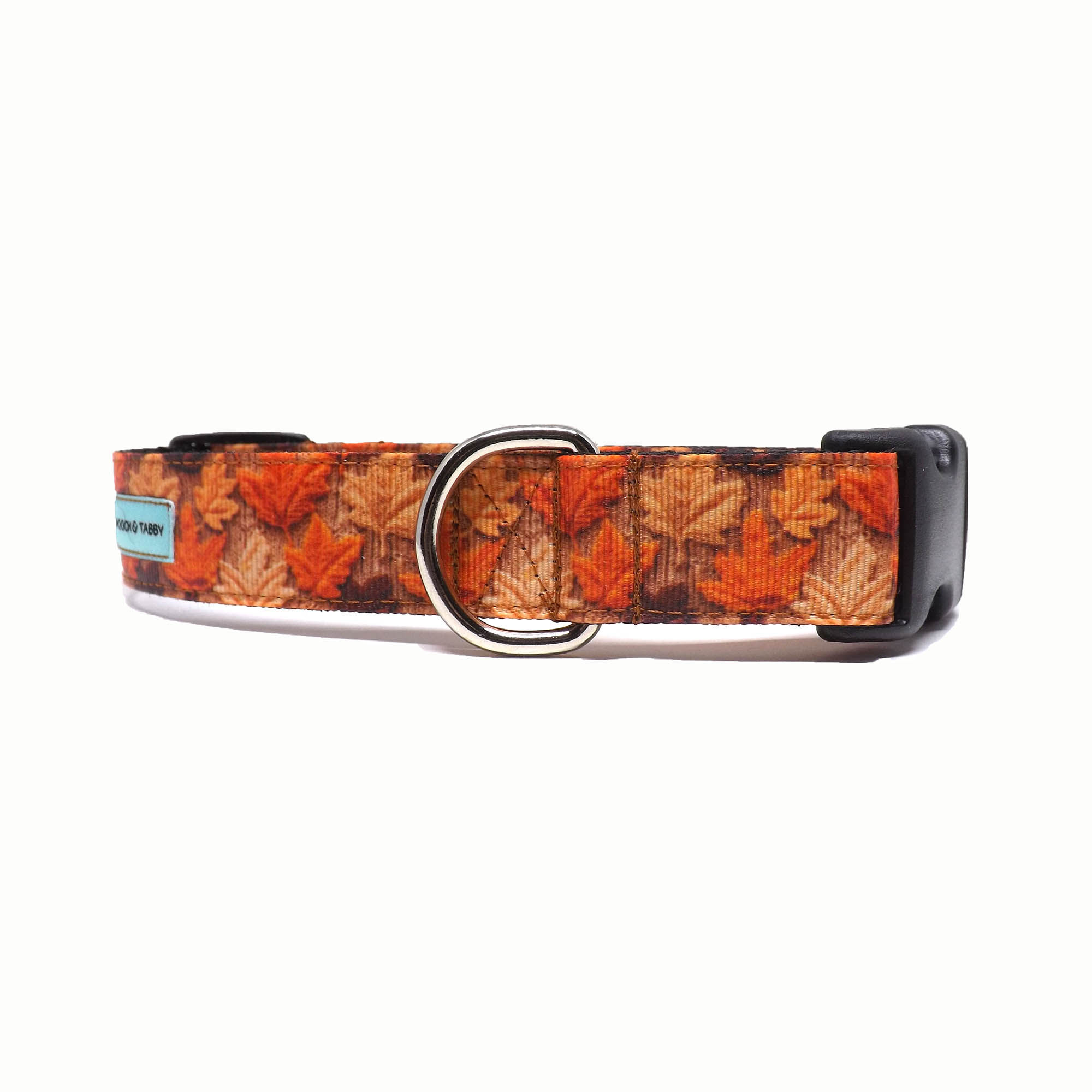 Dog Collar - 'Fall Leaves' - Colourful 3D Autumn Leaves Design - 1" Width Only