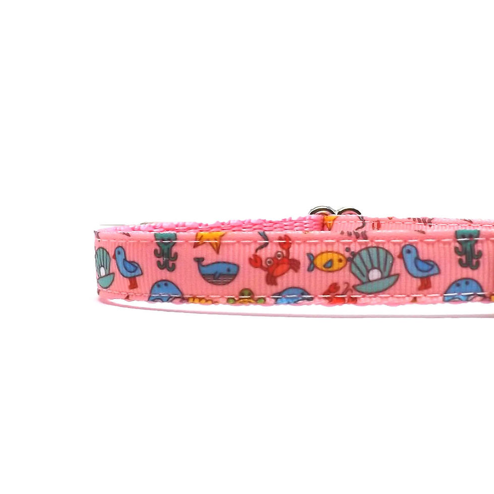 Thumbnail: close up of cat collar with a variety of ocean and beach animals on a bright pink background