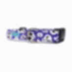 dog collar design with smiling skeleton faces and bones, front view